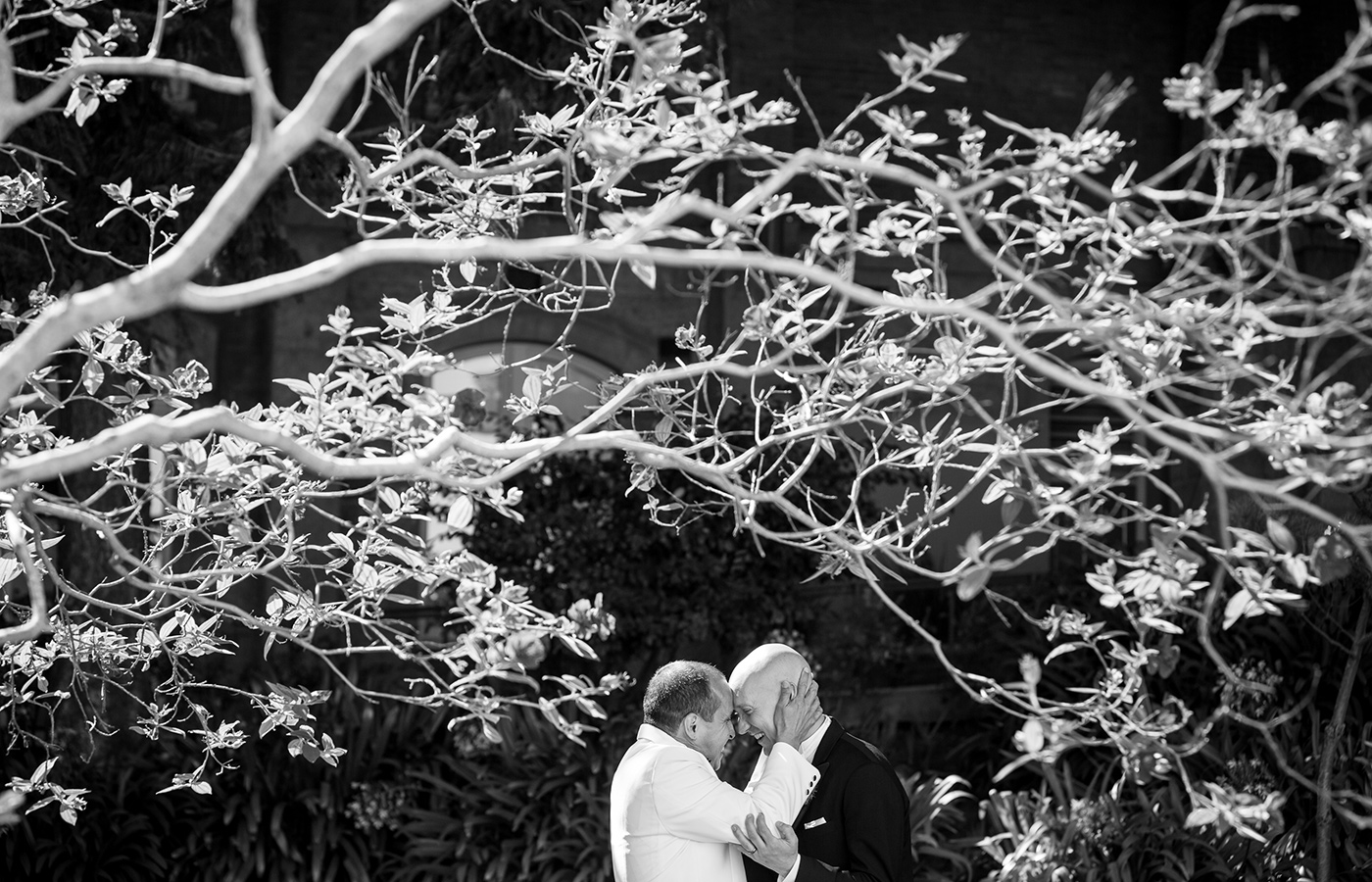 gay wedding napa valley